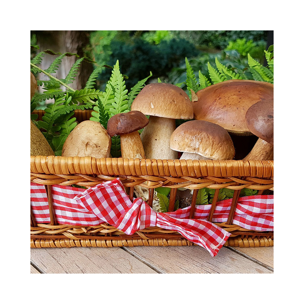 Les Cèpes Extra Déshydratés