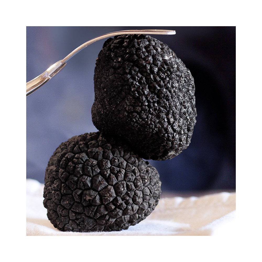 Les Truffes Noires du Périgord Entières Brossées 1er Choix