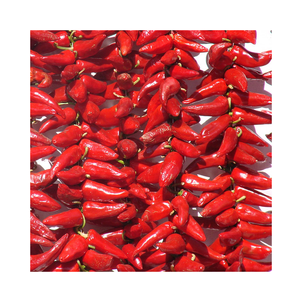 Le Piment d'Espelette AOC