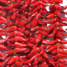 Le Piment d'Espelette AOC