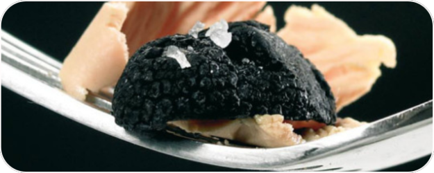 La truffe noire du Périgord, un diamant dans l'assiette- Plantes et Santé